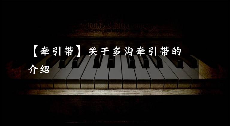 【牵引带】关于多沟牵引带的介绍