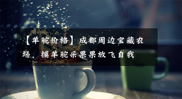 【羊驼价格】成都周边宝藏农场,摸羊驼采果果放飞自我