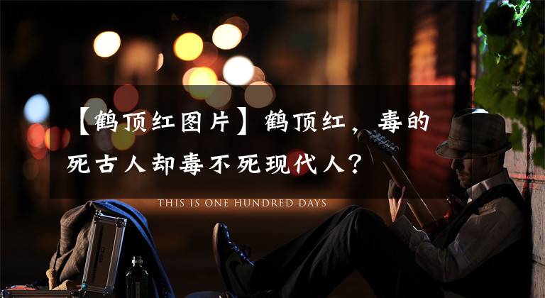 【鹤顶红图片】鹤顶红，毒的死古人却毒不死现代人？