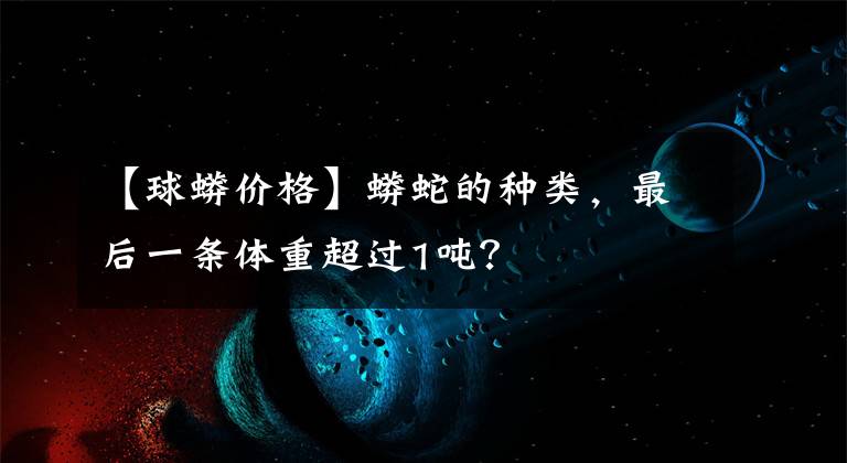 【球蟒价格】蟒蛇的种类,最后一条体重超过1吨?