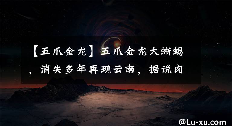 【五爪金龙】五爪金龙大蜥蜴,消失多年再现云南,据说肉质鲜美可入药