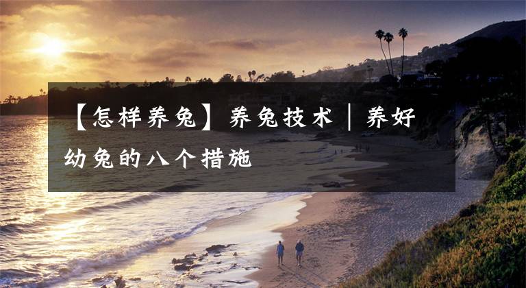 【怎样养兔】养兔技术|养好幼兔的八个措施