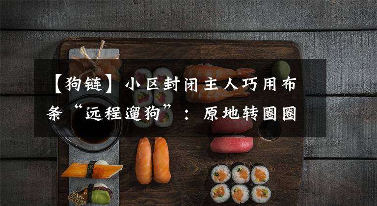 【狗链】小区封闭主人巧用布条“远程遛狗”：原地转圈圈，还能上厕所