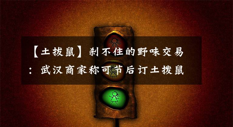 【土拔鼠】刹不住的野味交易:武汉商家称可节后订土拨鼠,佛山一市场暗售果子狸