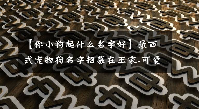 【你小狗起什么名字好】最西式宠物狗名字招募在王家-可爱之处