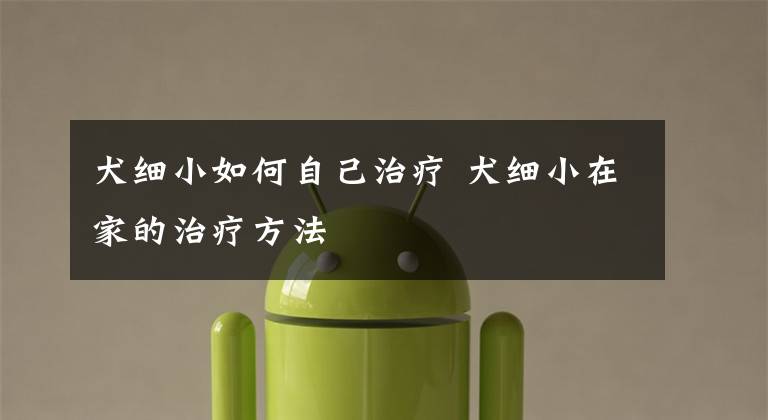 犬细小如何自己治疗 犬细小在家的治疗方法