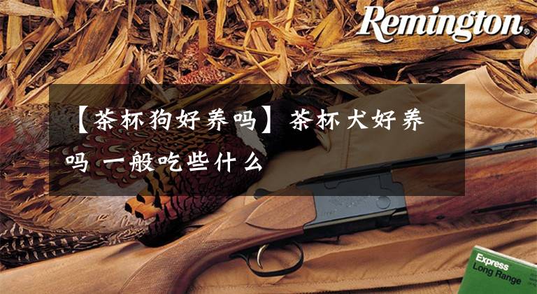 【茶杯狗好养吗】茶杯犬好养吗 一般吃些什么