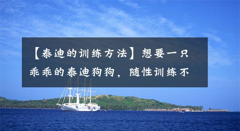 【泰迪的训练方法】想要一只乖乖的泰迪狗狗，随性训练不可少，有哪些方法借鉴呢
