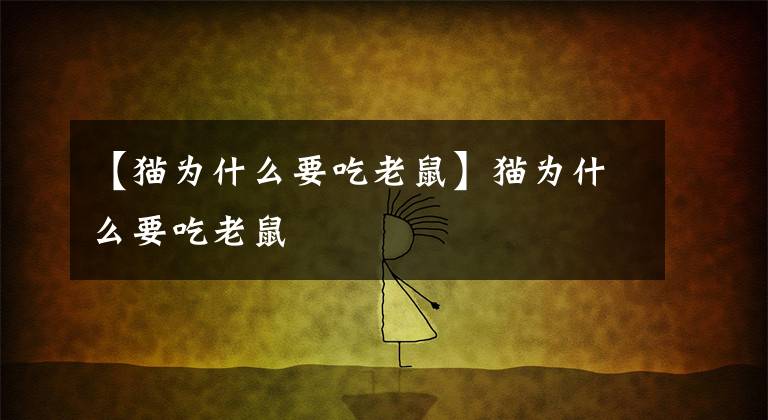 【猫为什么要吃老鼠】猫为什么要吃老鼠