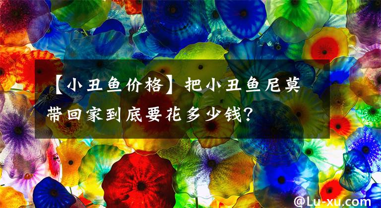 【小丑鱼价格】把小丑鱼尼莫带回家到底要花多少钱?