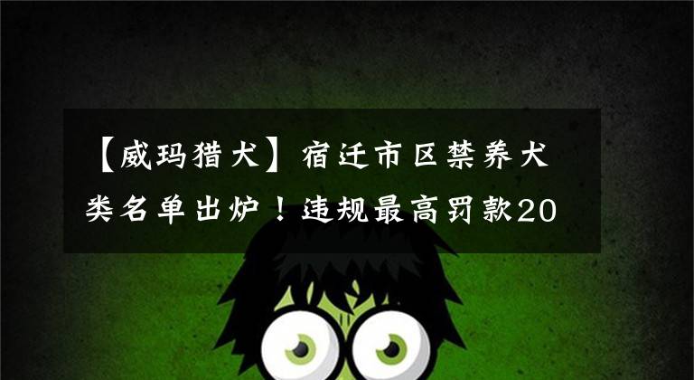 【威玛猎犬】宿迁市区禁养犬类名单出炉！违规最高罚款2000元