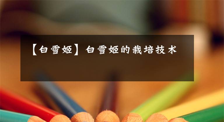 【白雪姬】白雪姬的栽培技术