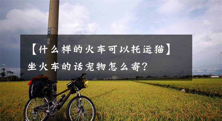 【什么样的火车可以托运猫】坐火车的话宠物怎么寄？