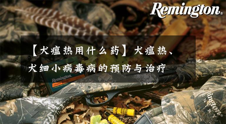 【犬瘟热用什么药】犬瘟热、犬细小病毒病的预防与治疗