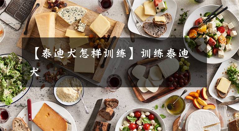 【泰迪犬怎样训练】训练泰迪犬