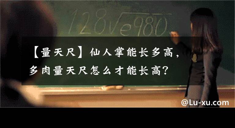 【量天尺】仙人掌能长多高,多肉量天尺怎么才能长高?