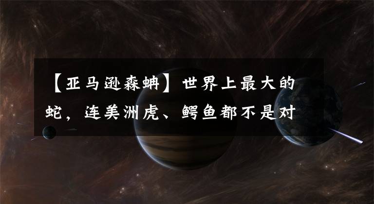 【亚马逊森蚺】世界上最大的蛇，连美洲虎、鳄鱼都不是对手，森蚺究竟有多恐怖？