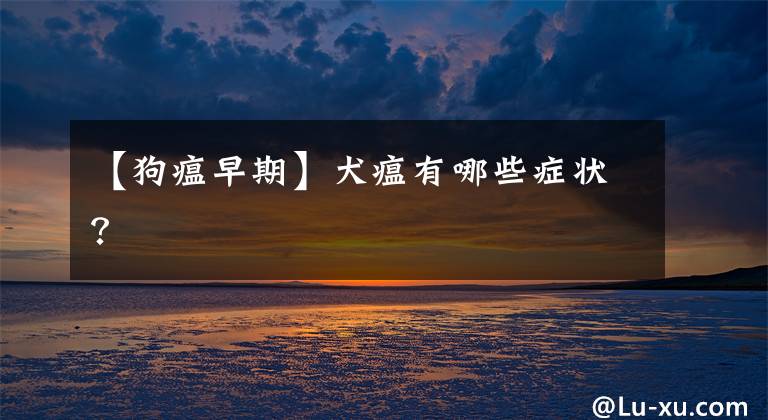 【狗瘟早期】犬瘟有哪些症状?
