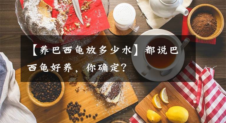 【养巴西龟放多少水】都说巴西龟好养，你确定？