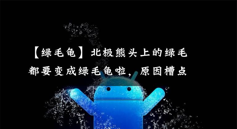 【绿毛龟】北极熊头上的绿毛都要变成绿毛龟啦,原因槽点多多让你想不到!