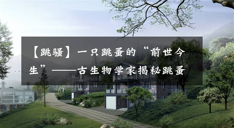 【跳骚】一只跳蚤的“前世今生”——古生物学家揭秘跳蚤进化史