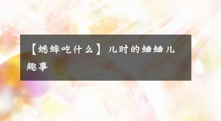 【蟋蟀吃什么】儿时的蛐蛐儿趣事