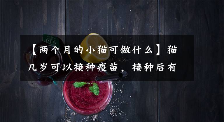 【两个月的小猫可做什么】猫几岁可以接种疫苗，接种后有什么注意事项吗？