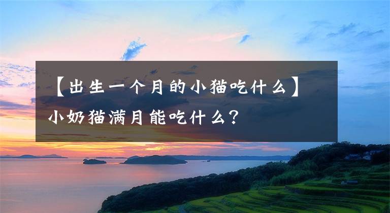 【出生一个月的小猫吃什么】小奶猫满月能吃什么？