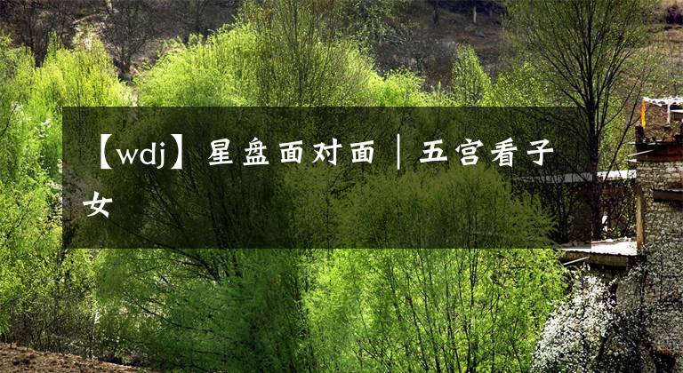 【wdj】星盘面对面｜五宫看子女
