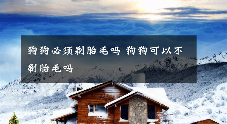 狗狗必须剃胎毛吗 狗狗可以不剃胎毛吗
