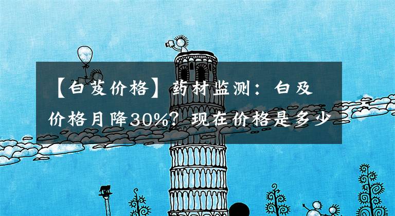 【白芨价格】药材监测：白及价格月降30%？现在价格是多少？