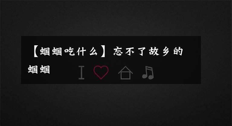 【蝈蝈吃什么】忘不了故乡的蝈蝈