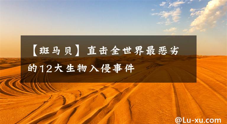 【斑马贝】直击全世界最恶劣的12大生物入侵事件