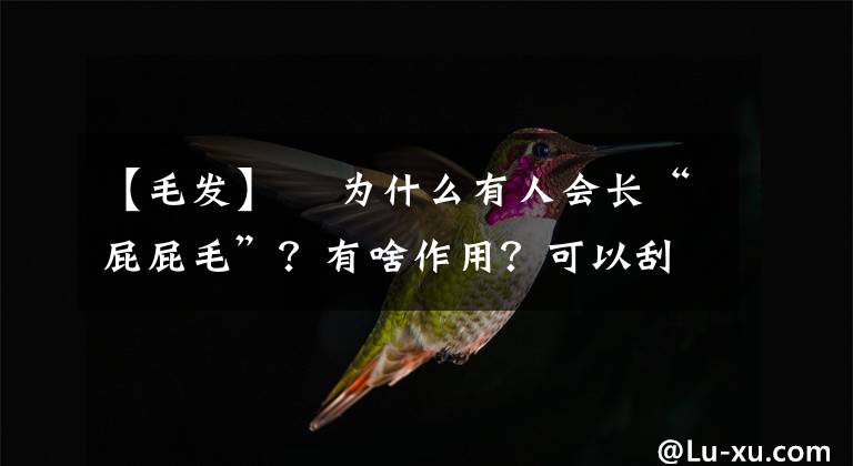 【毛发】 为什么有人会长“屁屁毛”?有啥作用?可以刮掉吗?涨知识了