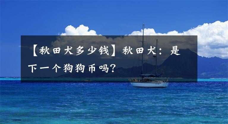 【秋田犬多少钱】秋田犬：是下一个狗狗币吗？