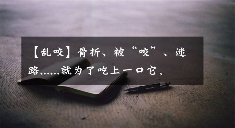 【乱咬】骨折、被“咬”、迷路......就为了吃上一口它，这个代价大了
