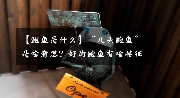【鲍鱼是什么】“几头鲍鱼”是啥意思?好的鲍鱼有啥特征?避免不懂被人坑