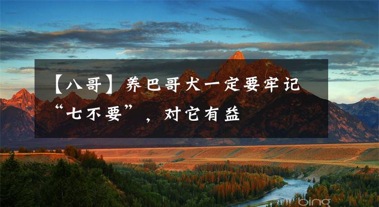 【八哥】养巴哥犬一定要牢记“七不要”，对它有益