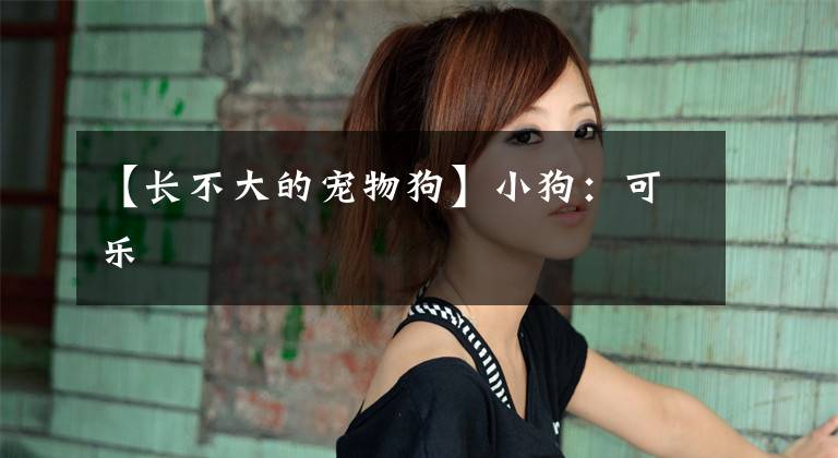 【长不大的宠物狗】小狗:可乐