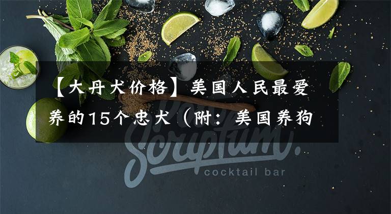 【大丹犬价格】美国人民最爱养的15个忠犬(附:美国养狗全攻略)