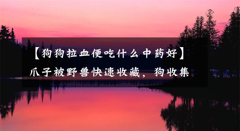 【狗狗拉血便吃什么中药好】爪子被野兽快速收藏,狗收集常用药品目录。