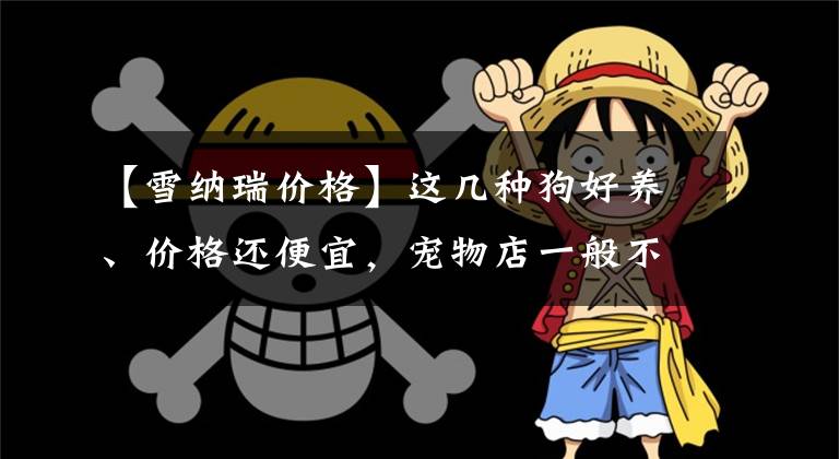 【雪纳瑞价格】这几种狗好养、价格还便宜，宠物店一般不推荐给你