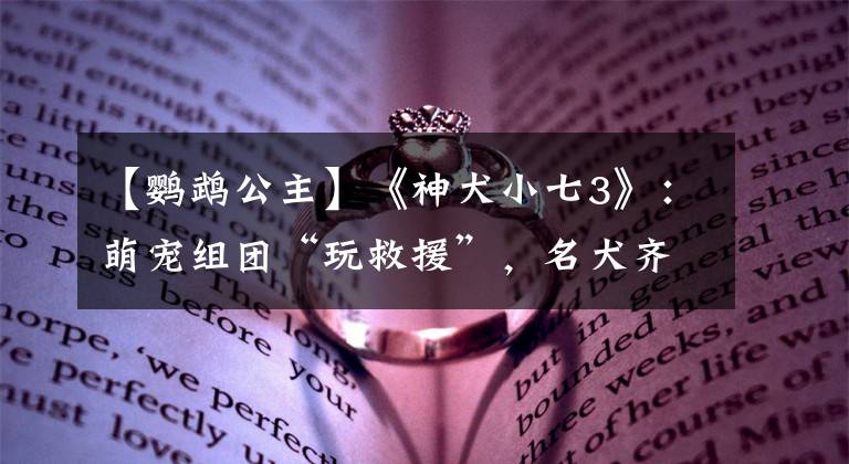 【鹦鹉公主】《神犬小七3》：萌宠组团“玩救援”，名犬齐聚点亮你的暑期档