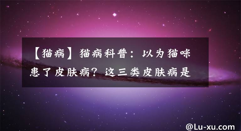 【猫病】猫病科普：以为猫咪患了皮肤病？这三类皮肤病是猫肿瘤疾病的预告