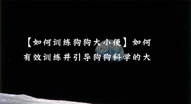 【如何训练狗狗大小便】如何有效训练并引导狗狗科学的大小便？专业人士教你