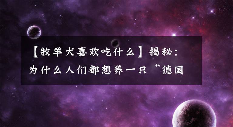 【牧羊犬喜欢吃什么】揭秘：为什么人们都想养一只“德国牧羊犬”呢？