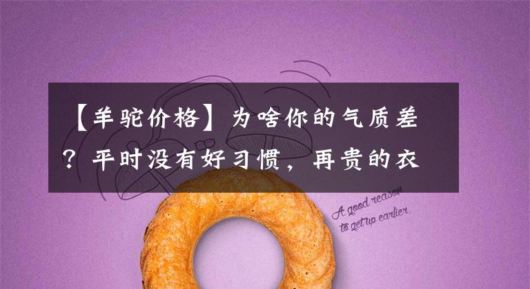 【羊驼价格】为啥你的气质差?平时没有好习惯,再贵的衣服也穿不出高级感