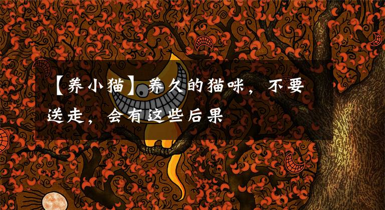 【养小猫】养久的猫咪，不要送走，会有这些后果