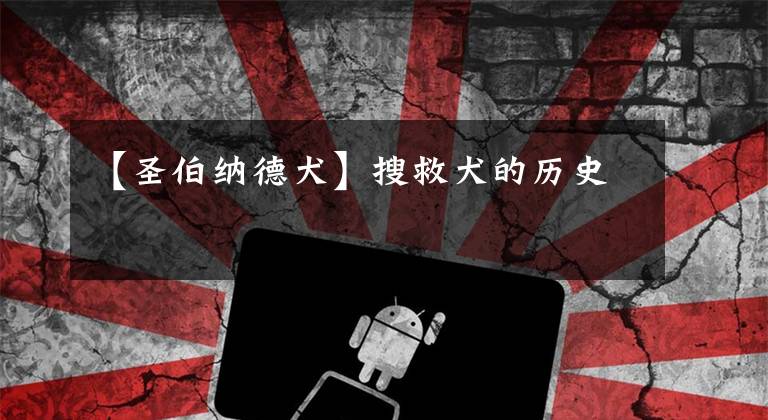 【圣伯纳德犬】搜救犬的历史