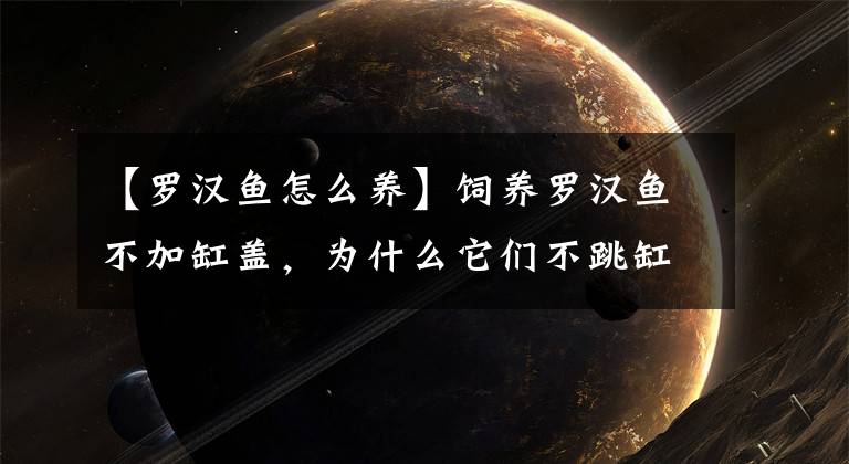【罗汉鱼怎么养】饲养罗汉鱼不加缸盖,为什么它们不跳缸?其实我也很害怕的